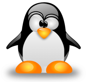 First Linux device driver