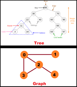 Non-Linear Data Structures